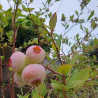 정경숙님의 자유주제 · 사진전 작성글 사진