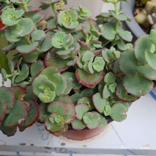 정경숙님의 자유주제 · 사진전 작성글 사진