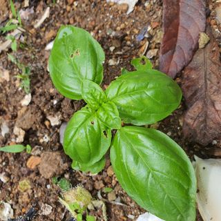 정경숙님의 자유주제 · 사진전 작성글 사진