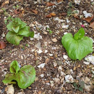 정경숙님의 자유주제 · 사진전 작성글 사진