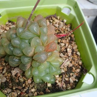 정경숙님의 자유주제 · 사진전 작성글 사진