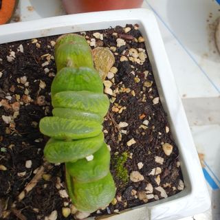 정경숙님의 자유주제 · 사진전 작성글 사진