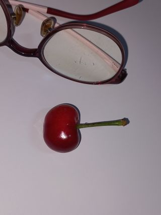 햇살님의 기타작물 · 영농일지 작성글 사진