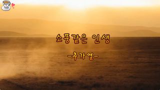 류남신柳男信TV로엘님의 🎤어떤 노래 좋아하세요? · 참여글 작성글 사진