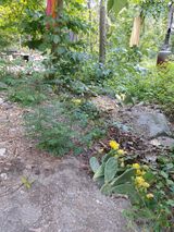 팜모닝 기타작물·영농일지 게시글 이미지