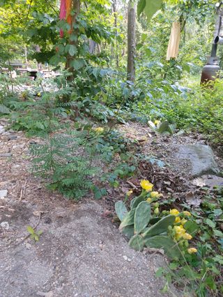 이상돈님의 기타작물 · 영농일지 작성글 사진