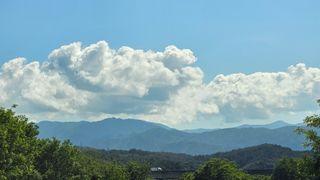 강원송이님의 🎤어떤 노래 좋아하세요? · 참여글 작성글 사진