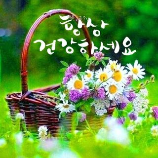 매실향기차향기님의 🎤어떤 노래 좋아하세요? · 참여글 작성글 사진