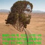 팜모닝 🎤어떤 노래 좋아하세요?·참여글 게시글 이미지