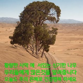 황금농원님의 🎤어떤 노래 좋아하세요? · 참여글 작성글 사진