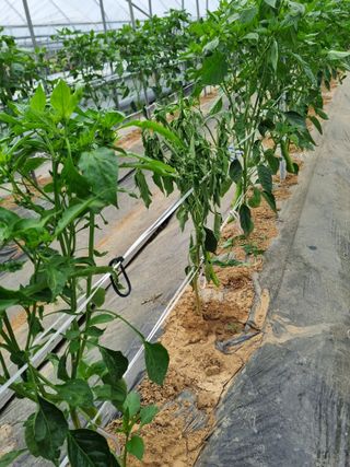 장례지도사1급님의 자유주제 · 자유게시판 작성글 사진