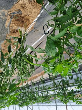 장례지도사1급님의 자유주제 · 자유게시판 작성글 사진