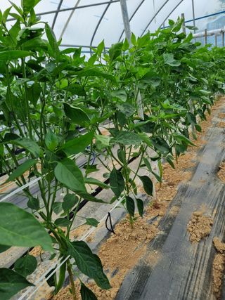 장례지도사1급님의 자유주제 · 자유게시판 작성글 사진