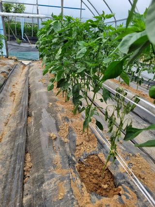 장례지도사1급님의 자유주제 · 자유게시판 작성글 사진