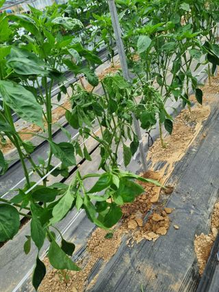 장례지도사1급님의 자유주제 · 자유게시판 작성글 사진