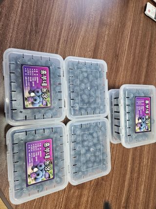 김남흥(흥부베리)님의 블루베리 · 영농일지 작성글 사진