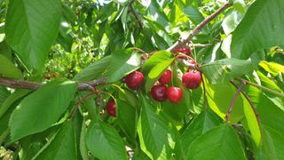 시금치29126님의 자유주제 · 자유게시판 작성글 사진