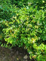 팜모닝 자유주제·자유게시판 게시글 이미지