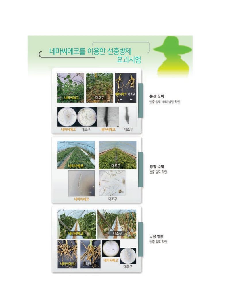 산들마켓,씨앗마켓님의 장터 판매 상품 [네마씨 에코 100ml 해충 관리 미생물 선충약 딸기 오이 뿌리혹선충 fmc코리아] 첨부 사진