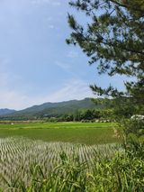 팜모닝 🎤어떤 노래 좋아하세요?·참여글 게시글 이미지