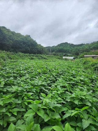 석가님의 🎤어떤 노래 좋아하세요? · 참여글 작성글 사진