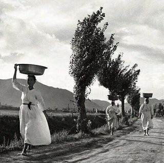 석가님의 🎤어떤 노래 좋아하세요? · 참여글 작성글 사진