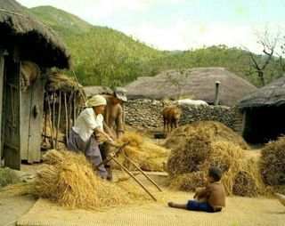 석가님의 🎤어떤 노래 좋아하세요? · 참여글 작성글 사진