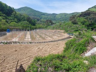 트라이애플1님의 사과 · 영농일지 작성글 사진