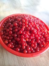 팜모닝 🎤어떤 노래 좋아하세요?·참여글 게시글 이미지