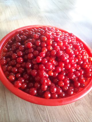 순자님의 🎤어떤 노래 좋아하세요? · 참여글 작성글 사진