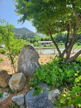 팜모닝 🎤어떤 노래 좋아하세요?·참여글 게시글 이미지