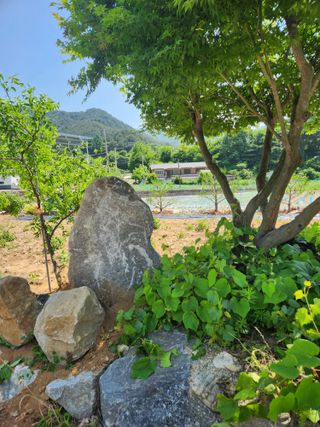 방태산용님의 🎤어떤 노래 좋아하세요? · 참여글 작성글 사진