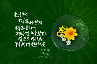 매실향기차향기님의 🎤어떤 노래 좋아하세요? · 참여글 작성글 사진