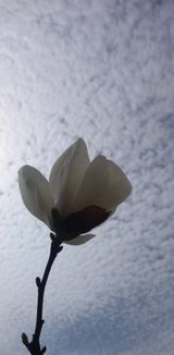 팜모닝 🎤어떤 노래 좋아하세요?·참여글 게시글 이미지