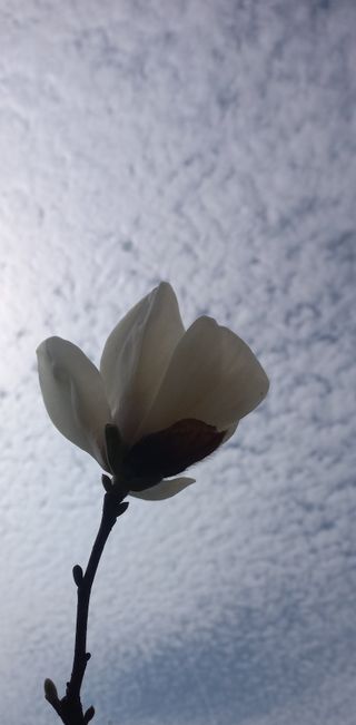 임수백 님의 🎤어떤 노래 좋아하세요? · 참여글 작성글 사진