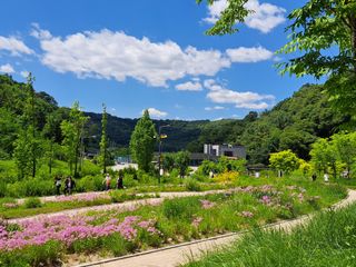황금재님의 🎤어떤 노래 좋아하세요? · 참여글 작성글 사진
