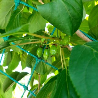 박광현님의 자유주제 · 자유게시판 작성글 사진