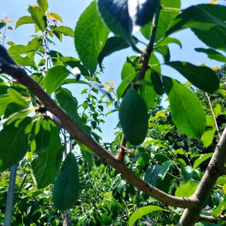 박광현님의 자유주제 · 자유게시판 작성글 사진