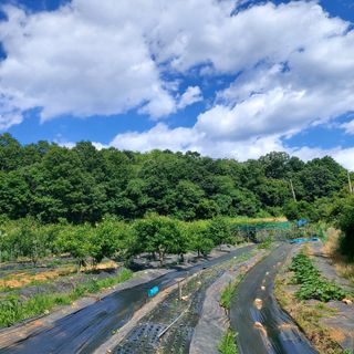 박광현님의 자유주제 · 자유게시판 작성글 사진