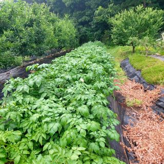박광현님의 자유주제 · 자유게시판 작성글 사진