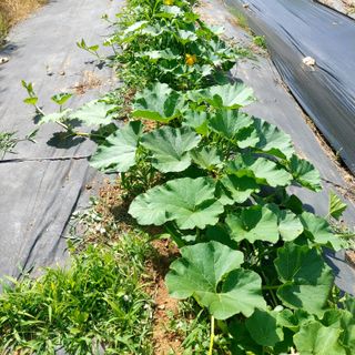 박광현님의 자유주제 · 자유게시판 작성글 사진