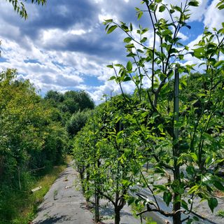 박광현님의 자유주제 · 자유게시판 작성글 사진