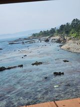 팜모닝 🎤어떤 노래 좋아하세요?·참여글 게시글 이미지