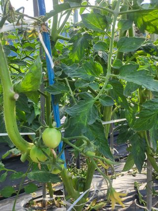 정정숙님의 자유주제 · 자유게시판 작성글 사진