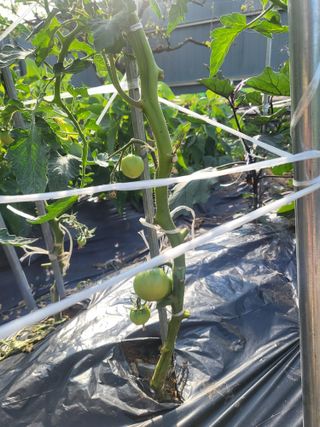 정정숙님의 자유주제 · 자유게시판 작성글 사진