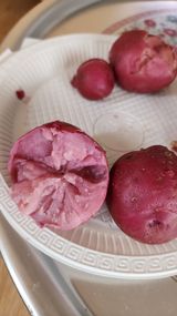 팜모닝 감자·영농일지 게시글 이미지