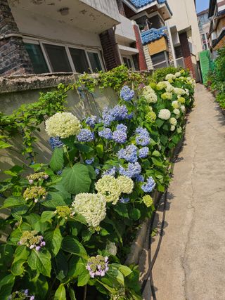 다일부동산님의 🎤어떤 노래 좋아하세요? · 참여글 작성글 사진