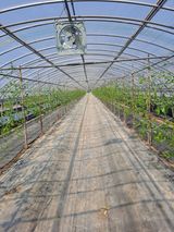 팜모닝 자유주제·자유게시판 게시글 이미지