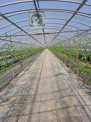 송오목님의 자유주제 · 자유게시판 작성글 사진