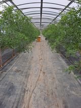 팜모닝 자유주제·자유게시판 게시글 이미지